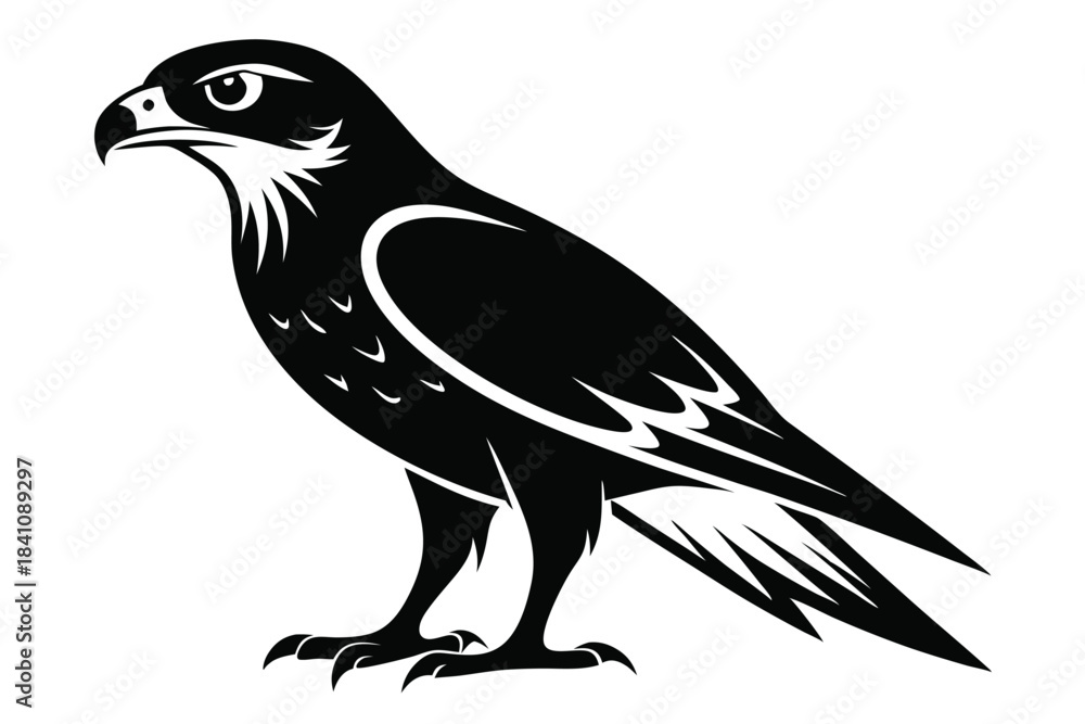 Fototapeta premium hawk silhouette line art vector illustration with a white background