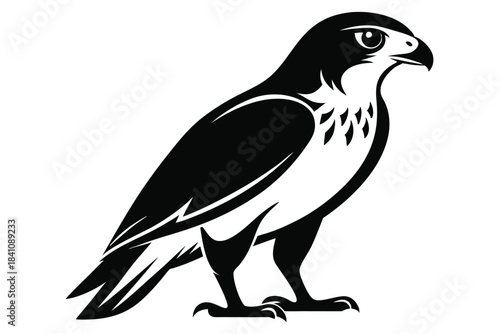 hawk silhouette line art vector illustration with a white background
