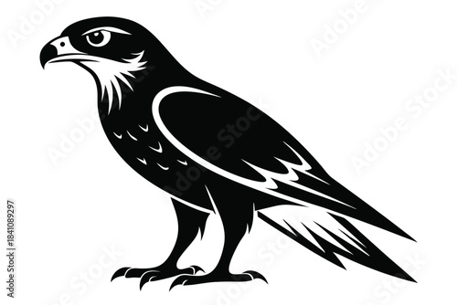 hawk silhouette line art vector illustration with a white background
