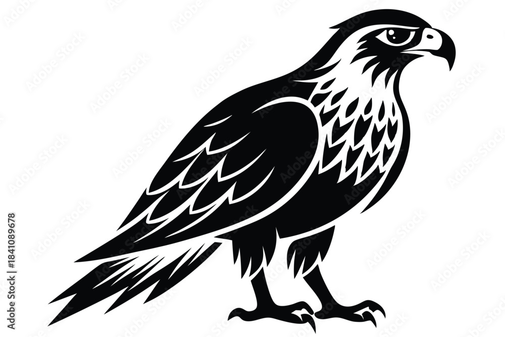 Fototapeta premium hawk silhouette line art vector illustration with a white background