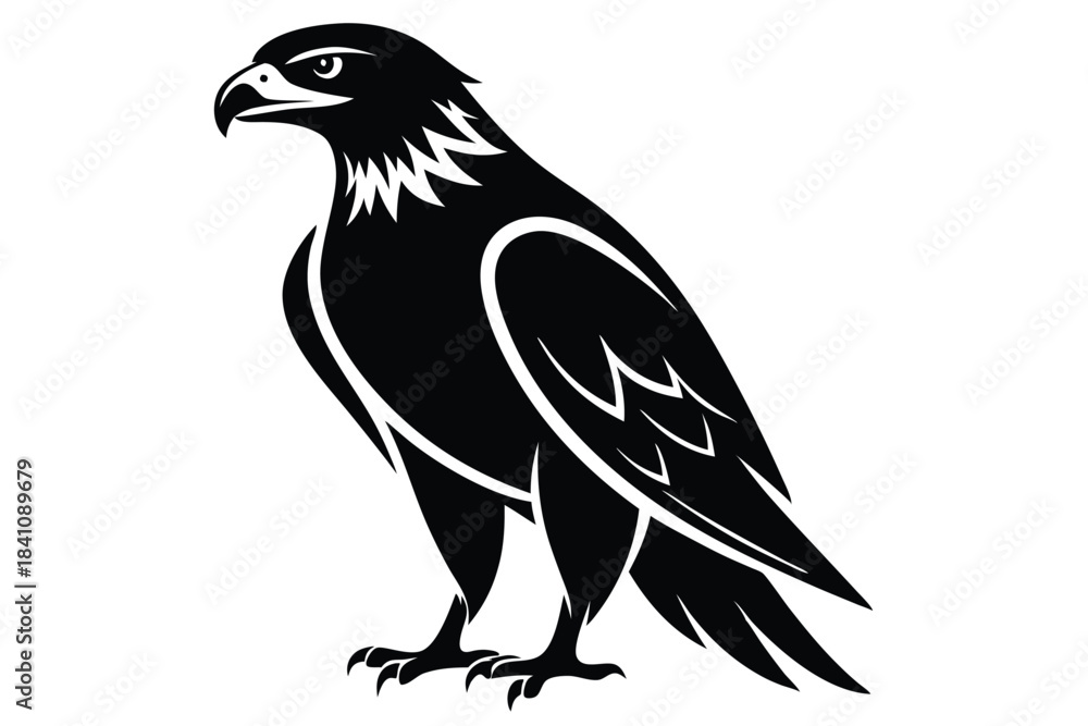Fototapeta premium hawk silhouette line art vector illustration with a white background