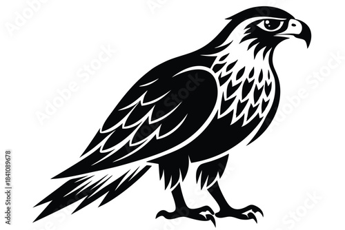 hawk silhouette line art vector illustration with a white background