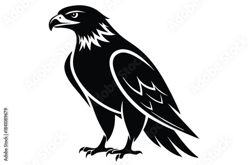 hawk silhouette line art vector illustration with a white background