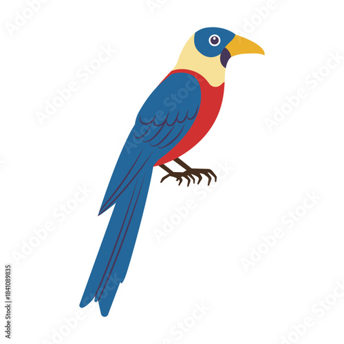 鮮やかな青いと黄色の羽根の南国風エキゾチックな鳥のイラスト