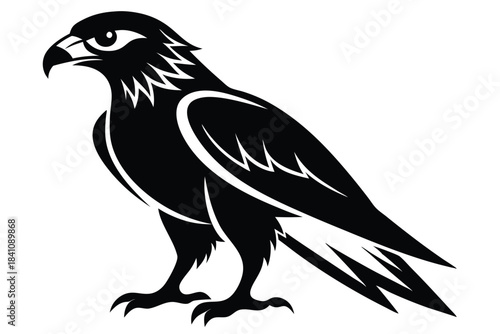 hawk silhouette line art vector illustration with a white background