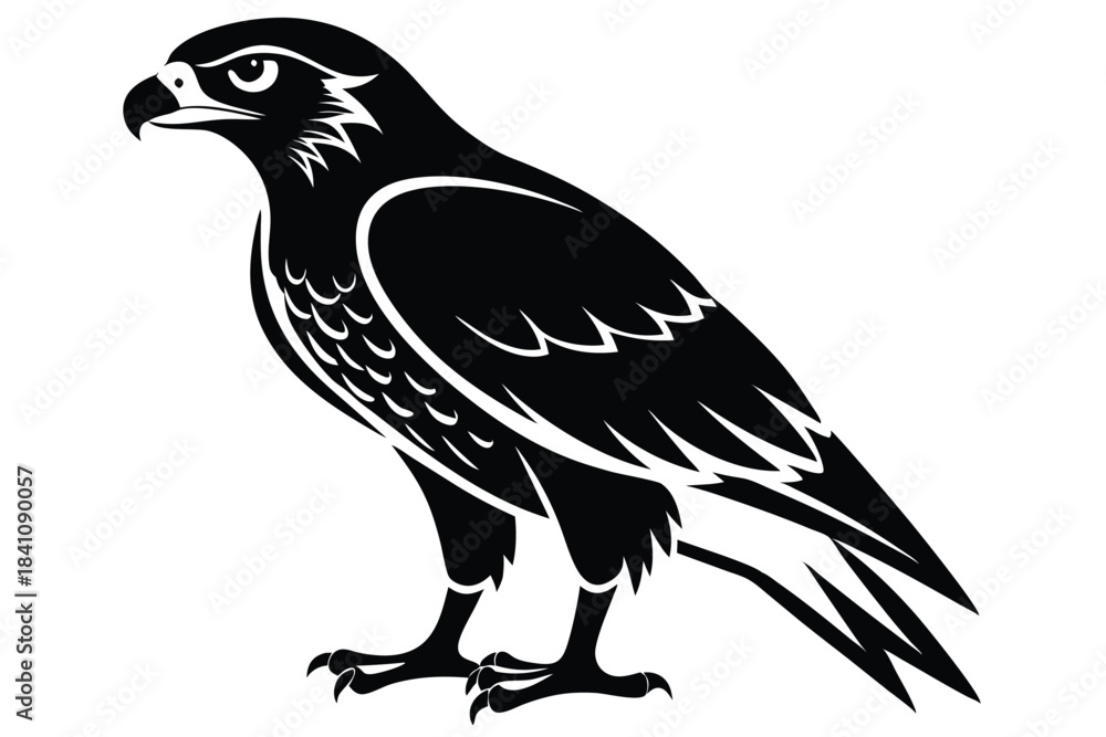 Fototapeta premium hawk silhouette line art vector illustration with a white background