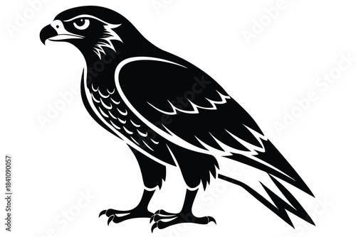 hawk silhouette line art vector illustration with a white background