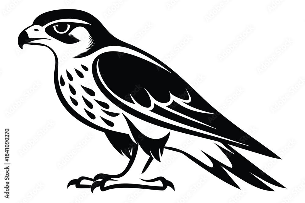 Fototapeta premium hawk silhouette line art vector illustration with a white background