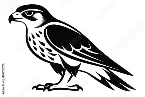 hawk silhouette line art vector illustration with a white background