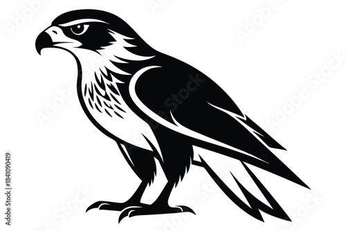 hawk silhouette line art vector illustration with a white background