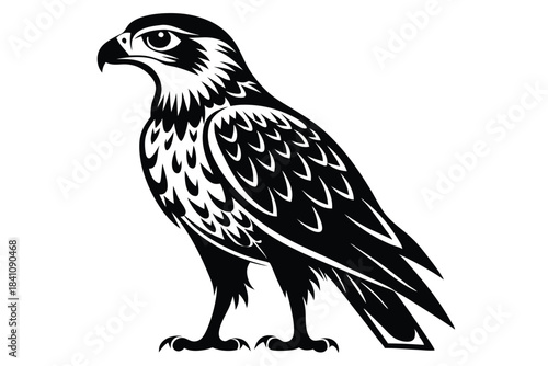 hawk silhouette line art vector illustration with a white background
