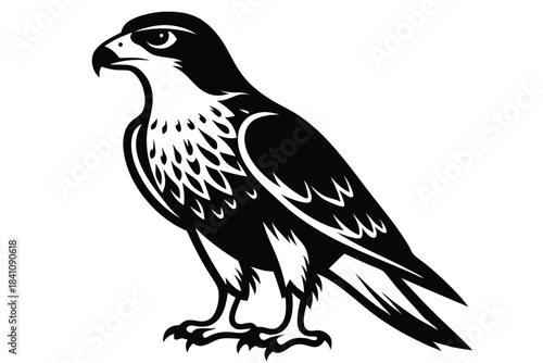 hawk silhouette line art vector illustration with a white background