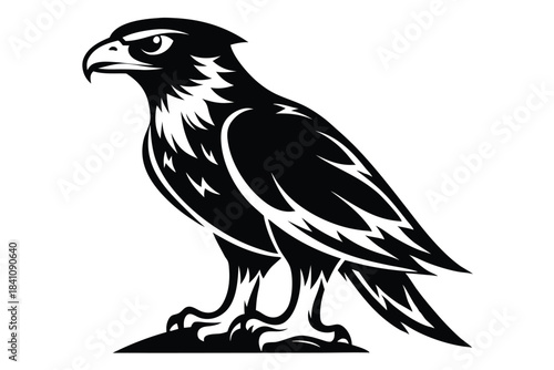 hawk silhouette line art vector illustration with a white background