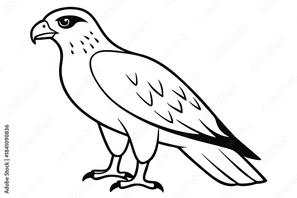 Fototapeta premium hawk silhouette line art vector illustration with a white background