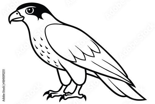 hawk silhouette line art vector illustration with a white background