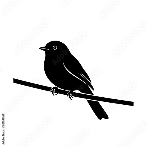Sitting Bird Designs – Perched, Resting & Calm Nature Bird Illustrations Collection