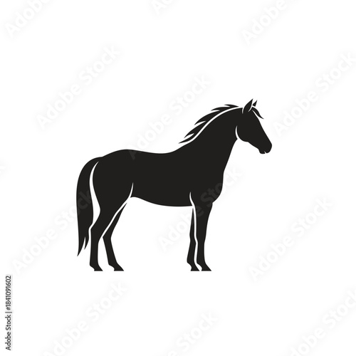 Galloping & Wild Horse Designs – Majestic Stallion & Equestrian Illustrations Collection