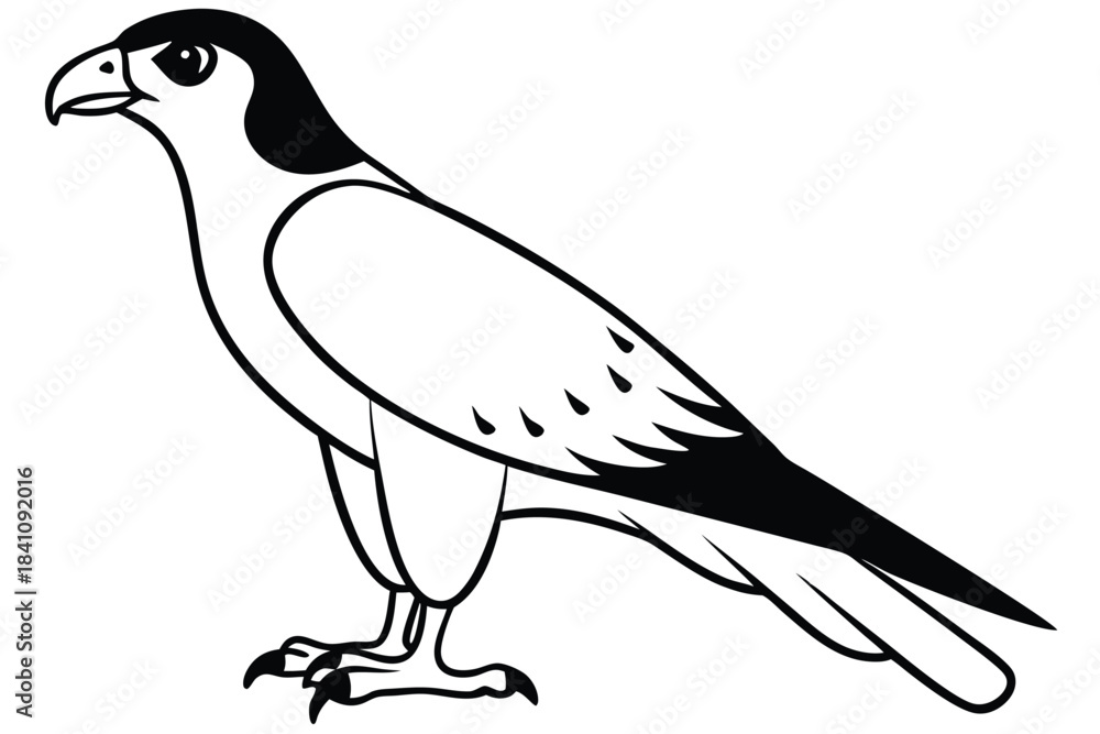 Fototapeta premium hawk silhouette line art vector illustration with a white background