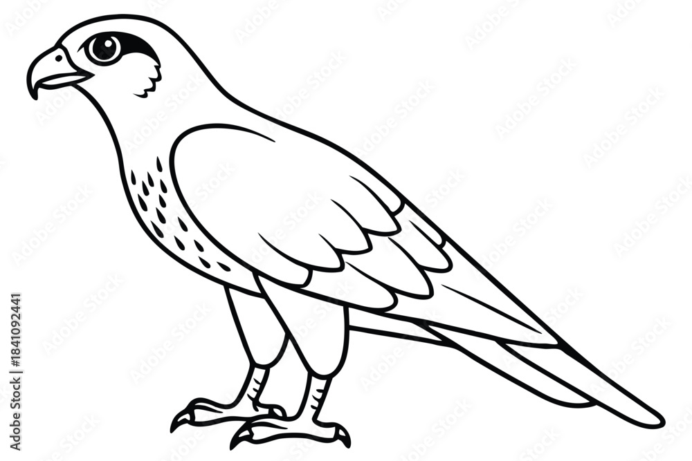 Obraz premium hawk silhouette line art vector illustration with a white background