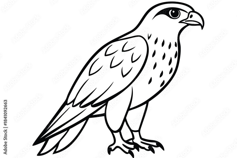 Obraz premium hawk silhouette line art vector illustration with a white background