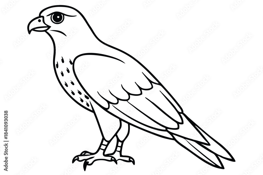 Obraz premium hawk silhouette line art vector illustration with a white background