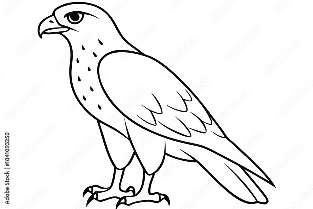 Obraz premium hawk silhouette line art vector illustration with a white background