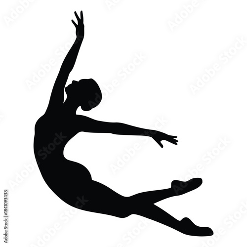 Graceful Ballet Dancers Silhouette - Elegant Female Ballerina Dance Vector Art silhouette of dynamic elegance ballet dancer leap silhouette of dynamic elegance ballet dancer leap Vector Design 