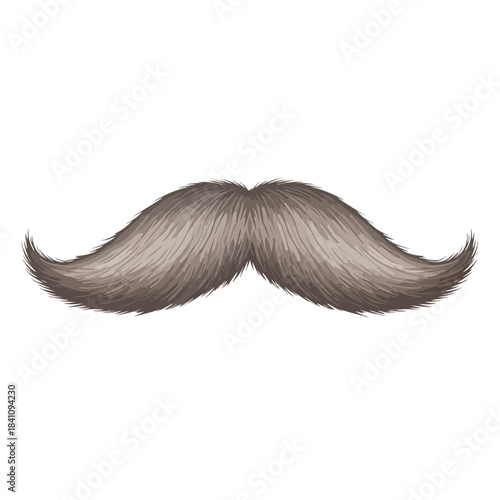 A detailed, realistic illustration of a gray mustache silhouette on a clean white background.