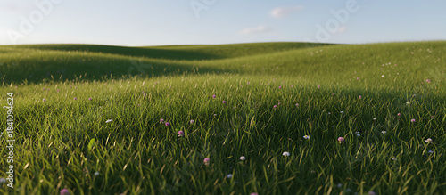 Tranquil Green Field Under Clear Blue Sky