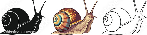 Collection of three distinct snail illustrations featuring a silhouette a full color version and a simple outline drawing