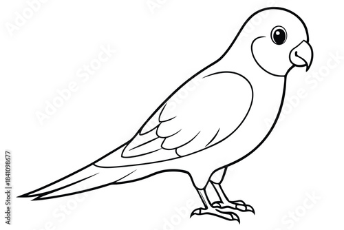 lovebird silhouette line art vector illustration with a white background