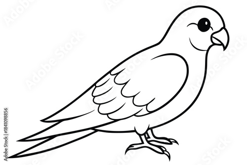 lovebird silhouette line art vector illustration with a white background