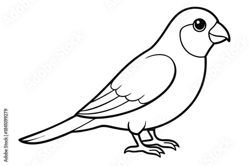 lovebird silhouette line art vector illustration with a white background