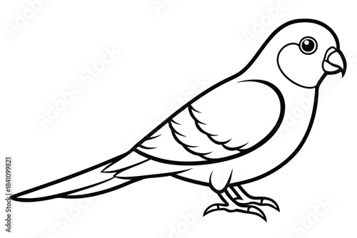 lovebird silhouette line art vector illustration with a white background