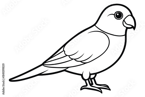 lovebird silhouette line art vector illustration with a white background