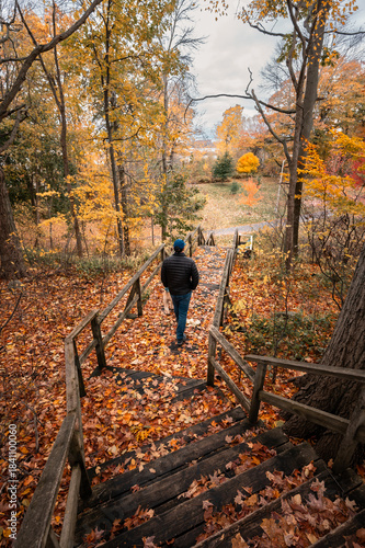 Man and dog walking down leaf covered wooden stairs on autumn day.