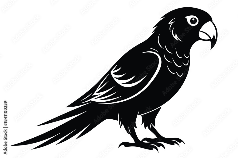 Obraz premium lorikeet silhouette line art vector illustration with a white background
