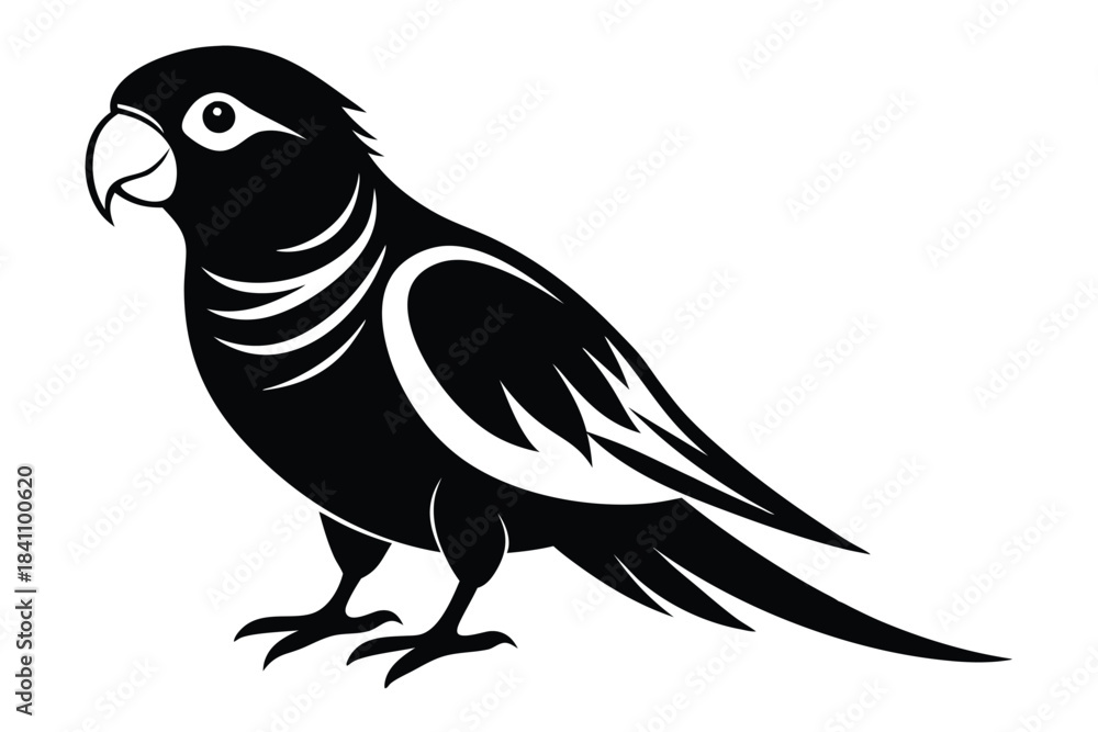Obraz premium lorikeet silhouette line art vector illustration with a white background