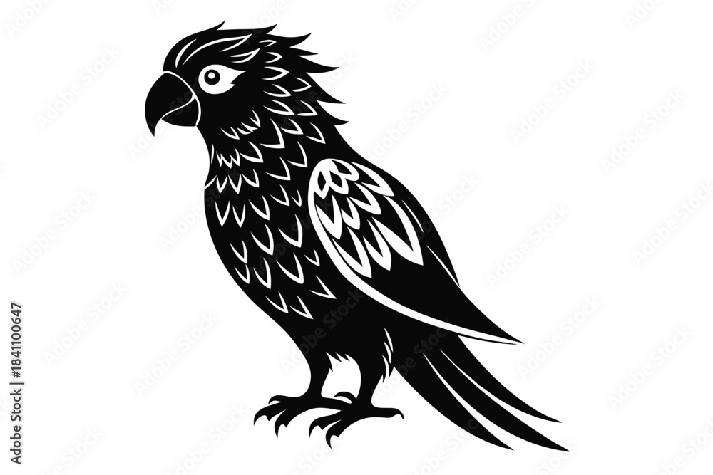 Obraz premium lorikeet silhouette line art vector illustration with a white background