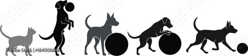 Animal silhouette sequence showing playful interaction with ball, featuring dog and cat motion, behavior, and pet activity for design themes