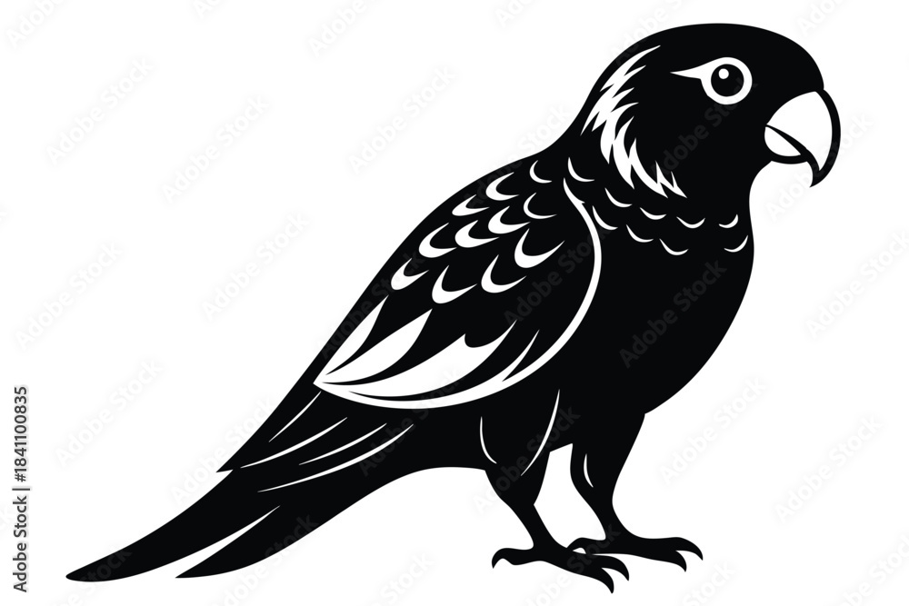 Obraz premium lorikeet silhouette line art vector illustration with a white background