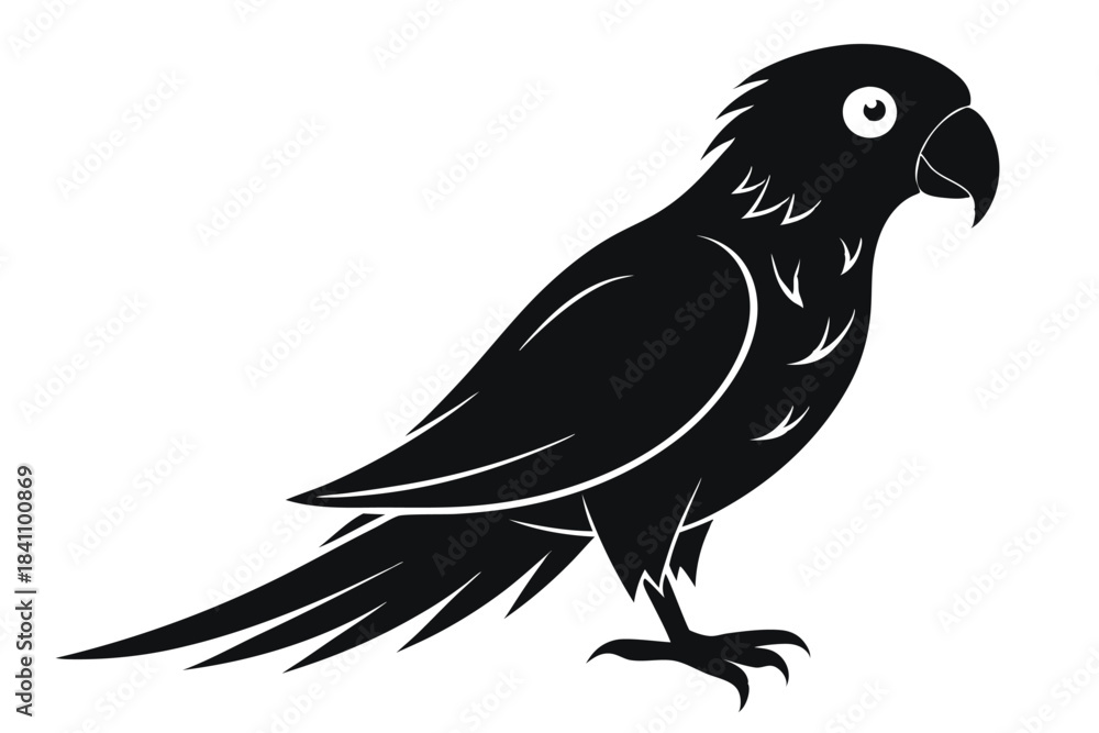 Obraz premium lorikeet silhouette line art vector illustration with a white background