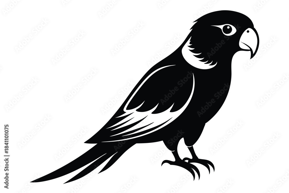 Fototapeta premium lorikeet silhouette line art vector illustration with a white background