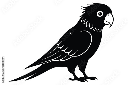 lorikeet silhouette line art vector illustration with a white background