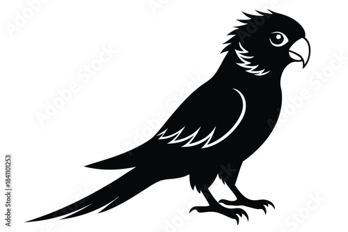 lorikeet silhouette line art vector illustration with a white background