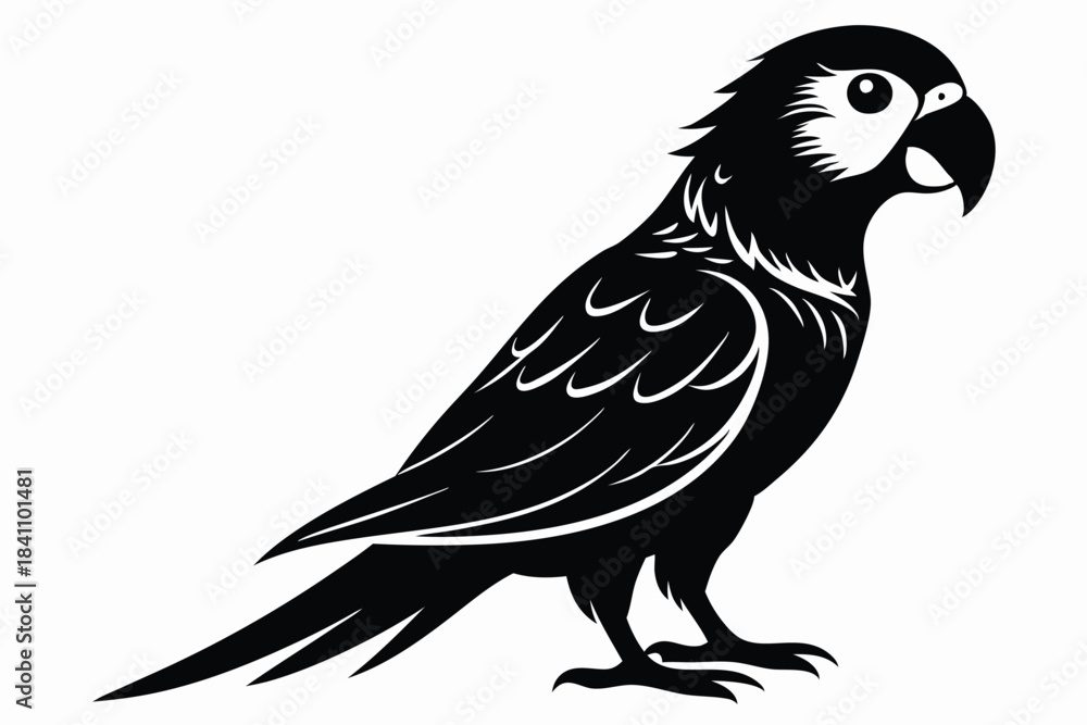 Obraz premium lorikeet silhouette line art vector illustration with a white background