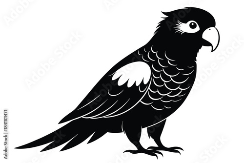 lorikeet silhouette line art vector illustration with a white background
