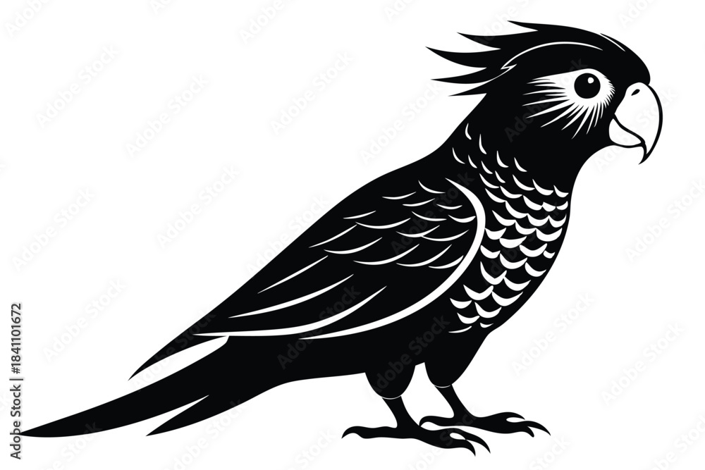 Fototapeta premium lorikeet silhouette line art vector illustration with a white background