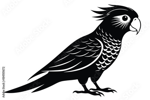 lorikeet silhouette line art vector illustration with a white background