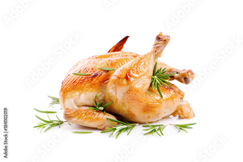 Grilled chicken meat on a white background.